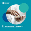 Открыть бизнес, подать заявление в загс: что ещё можно сделать онлайн
