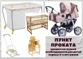 Пункт проката предметов первой необходимости для семей с детьми от 0 до 3 лет